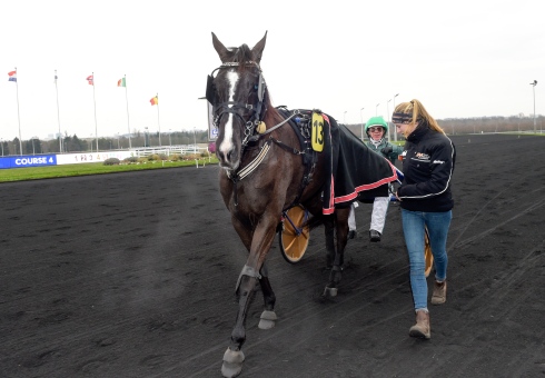 Dear Friend efter lördagens andraplats i Prix de Luxembourg. Foto: Lars Jakobsson, TR Bild